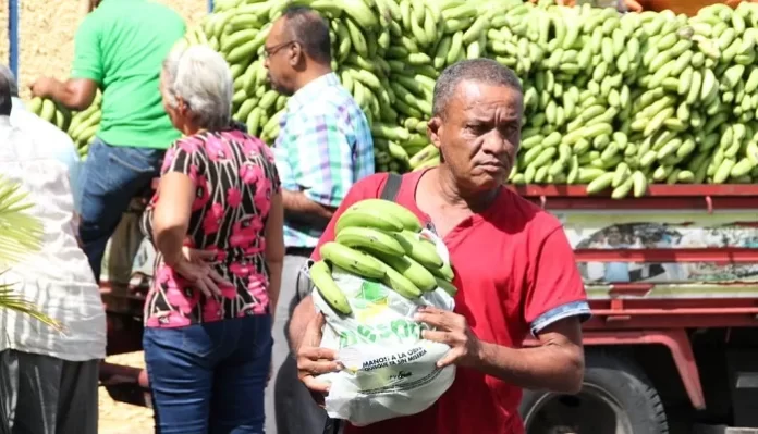 Venta de guineos verdes